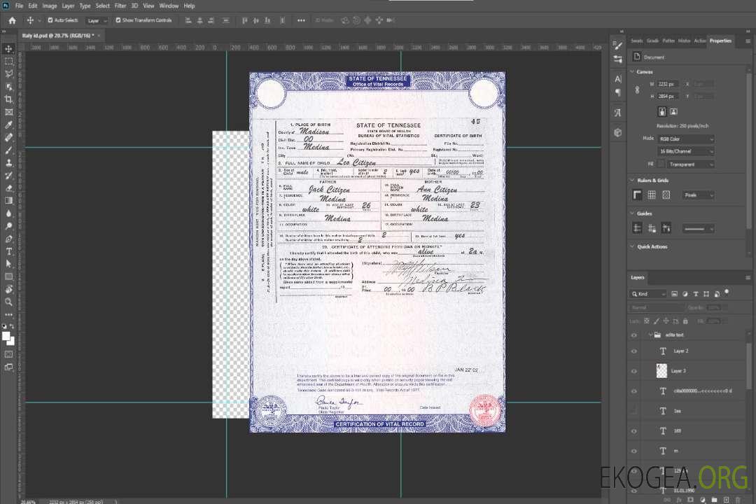 Modèle de certificat de naissance de l'État du Tennessee aux États-Unis au format PSD template